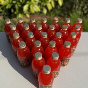 Endless Vibes - 24x Bottles